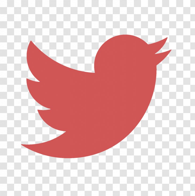 Social Media Bird Logo - Galliformes - Morden Transparent PNG