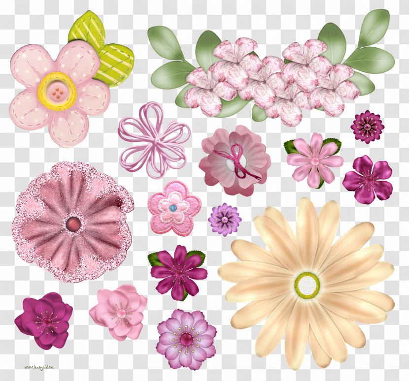 Flower Floral Design - Chrysanths - Waterflower Transparent PNG