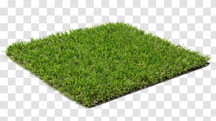 Artificial Turf Lawn Europarkett Store - Patio - Shop Floor Tree CarpetTree Transparent PNG