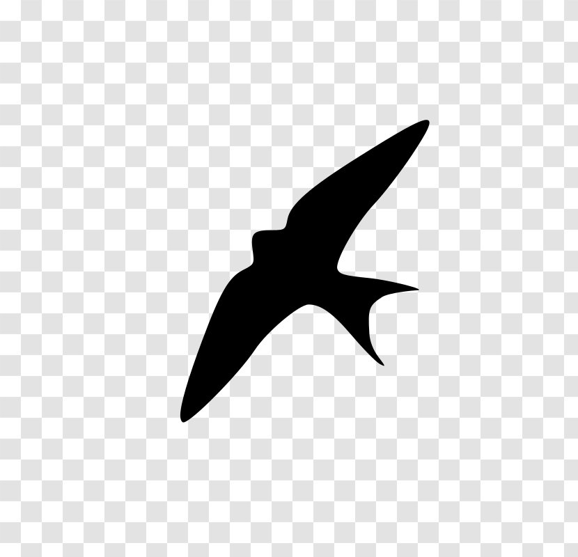 Swallow Bird Clip Art - Black And White Transparent PNG