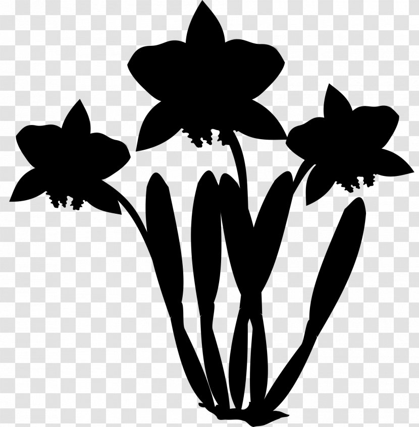 Clip Art Image - Cattleya Orchids - Drawing Transparent PNG