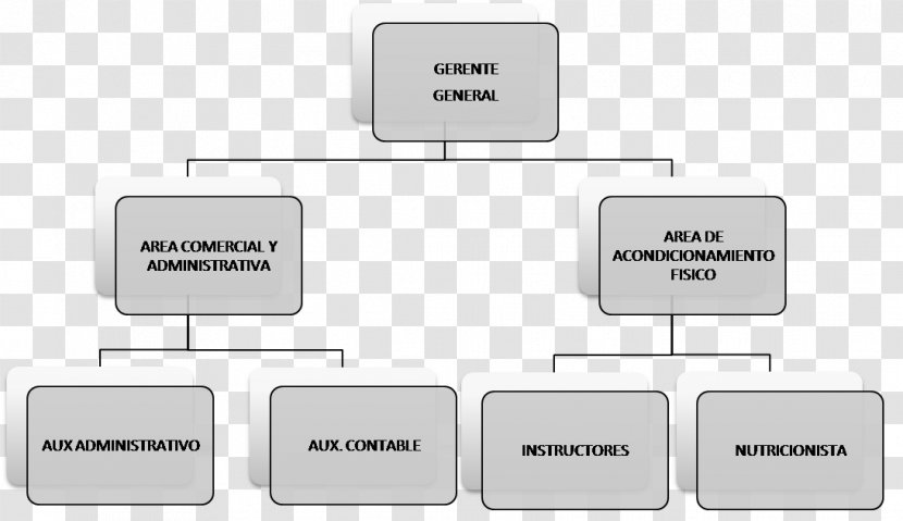 Organizational Chart Structure Fitness Centre Empresa - Firemen Transparent PNG
