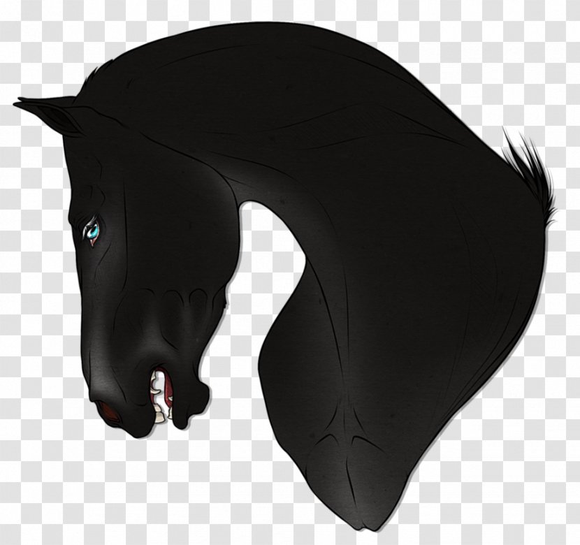 Horse Mammal Headgear Snout Black M Transparent PNG