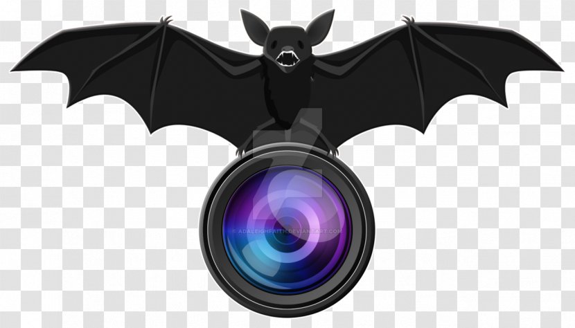 The Photographers' Gallery Photography Logo - Studio Transparent PNG
