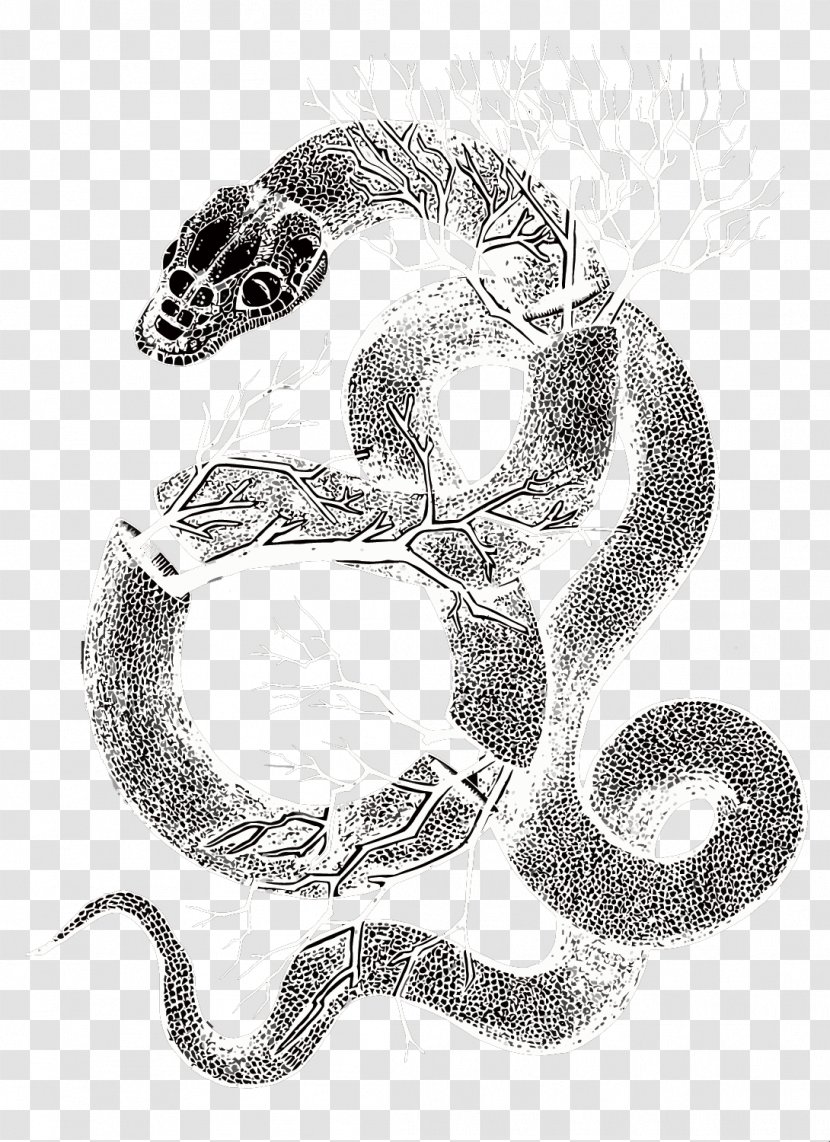Rattlesnake Visual Arts Black And White Serpent Drawing - Vector Snake Transparent PNG