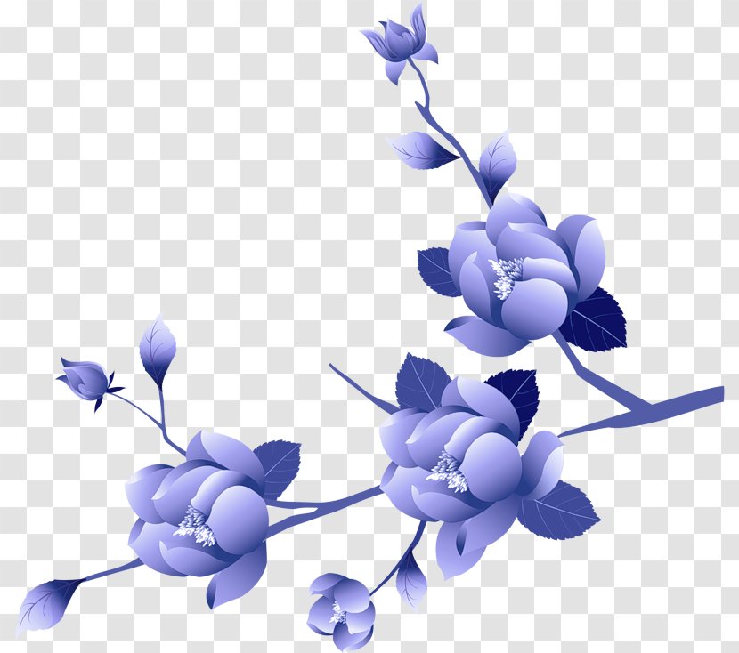 Lavender - Purple - Petal Flowering Plant Transparent PNG