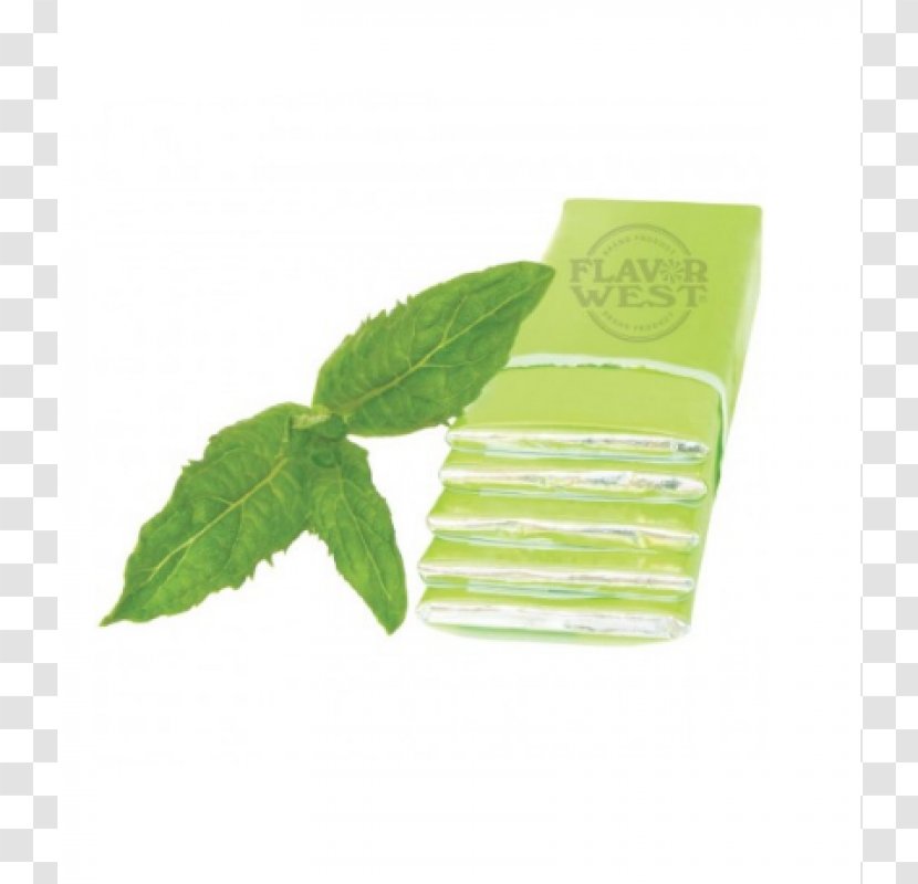 Flavor Herb Taste Sweetness Menthol - Herbal - Gum Mint Transparent PNG