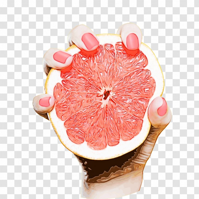 Pink Background - Grapefruit - Ceramic Petal Transparent PNG