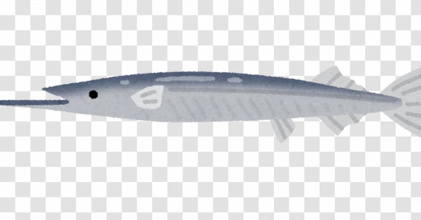 Japanese Halfbeak Illustrator いらすとや Pacific Saury - Nine Fish Transparent PNG