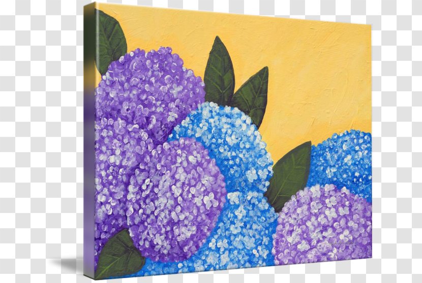 Flower Lavender Hydrangea Lilac Violet - Purple Transparent PNG