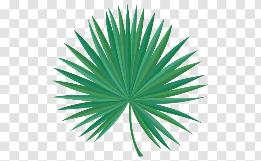 Green Saw Palmetto Extract Line Leaf Transparent PNG