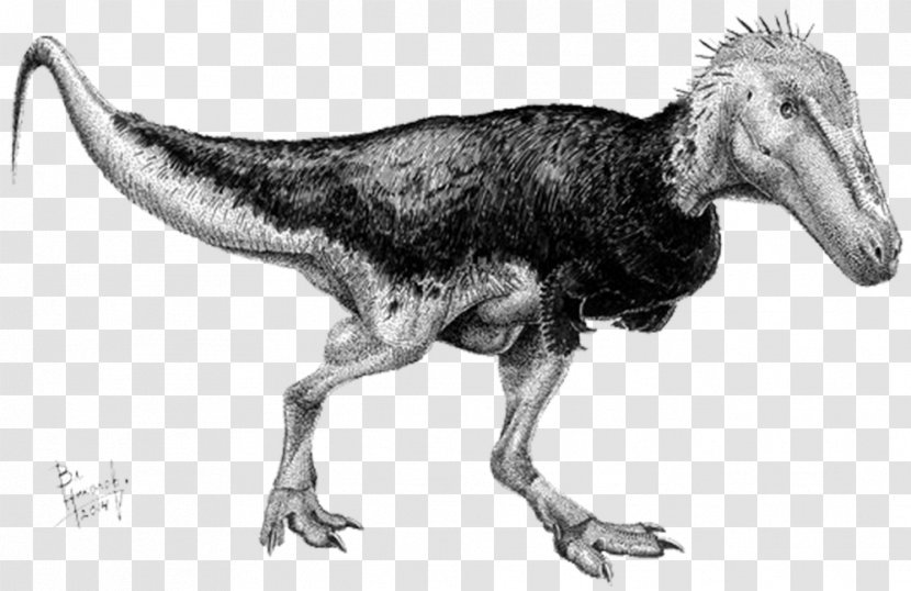 Tyrannosaurus Alioramus Teratophoneus Nanotyrannus Dinosaur - Animal Transparent PNG