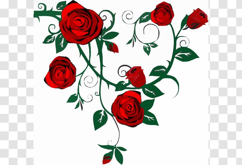 Rose Vine Drawing Clip Art - Flower Arranging - Adriane Cliparts Transparent PNG