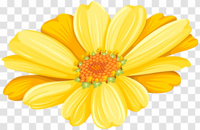 Transvaal Daisy Chrysanthemum Argyranthemum Frutescens Floristry Common Sunflower - Cut Flowers - Yellow Transparent Clip Art Image Transparent PNG