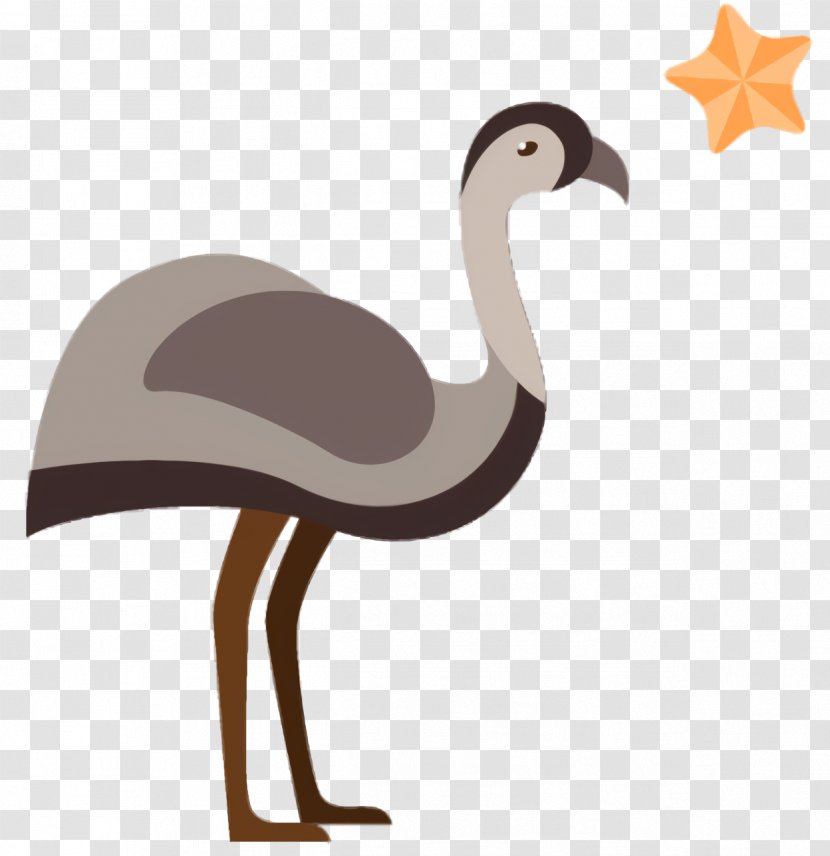 Crane Bird - Flightless - Whooping Beak Transparent PNG