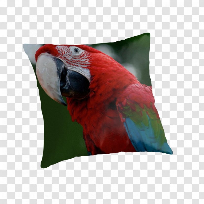 Cushion Throw Pillows Down Feather Couch - Pillow Transparent PNG
