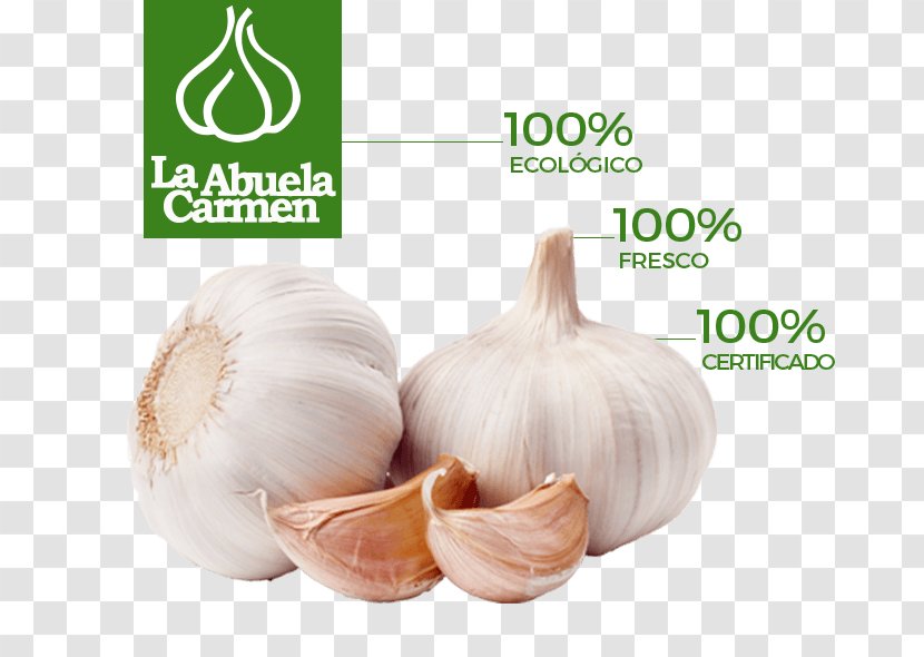 Garlic Organic Food Vegetable The Stinking Rose - Superfood Transparent PNG