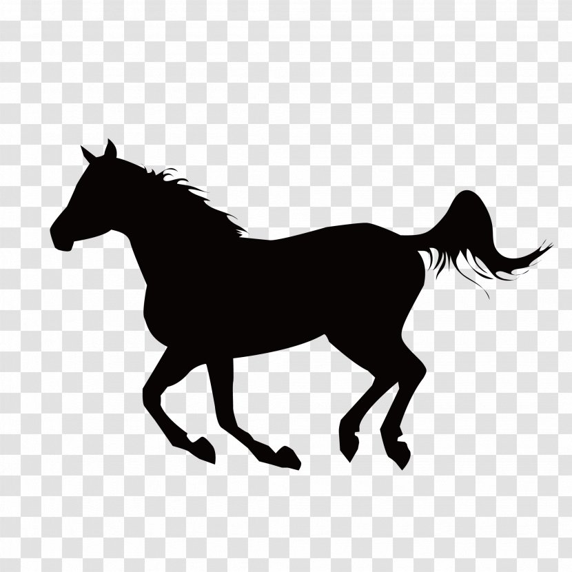 Mustang Stallion Equestrianism Clip Art - Horse - Running Transparent PNG