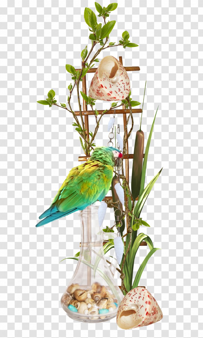 Floral Design U6d77u6d0b - Cut Flowers - Conch Bird Ladder Transparent PNG