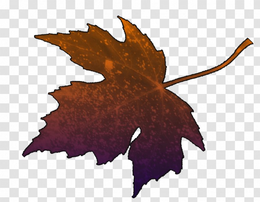 Maple Leaf - Foglie Transparent PNG