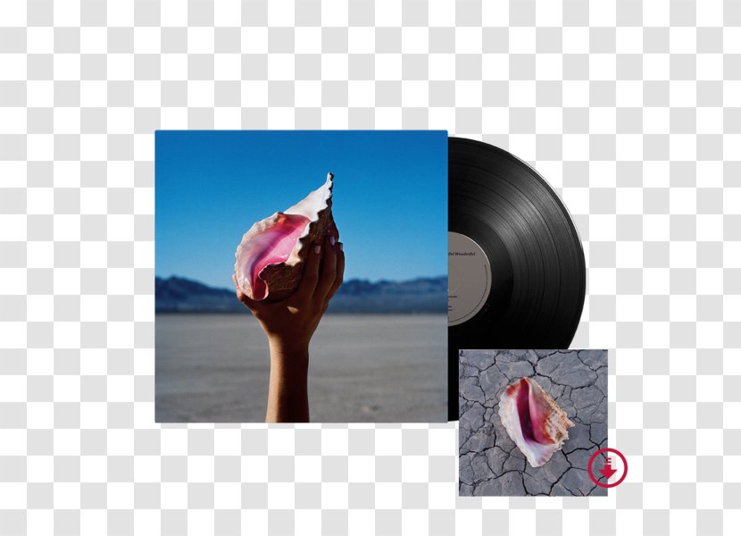 The Killers Wonderful LP Record Hot Fuss Phonograph - Watercolor - Digital Products Album Transparent PNG