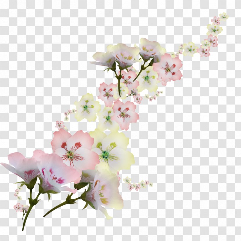 Clip Art - Flower - Mystique Transparent PNG