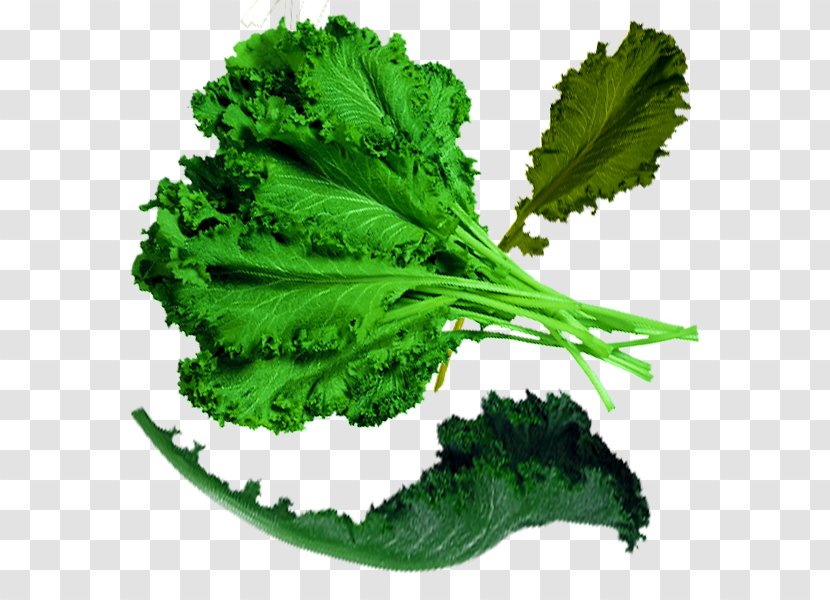Spring Greens Cabbage Organic Food Kale - Physical Green Transparent PNG
