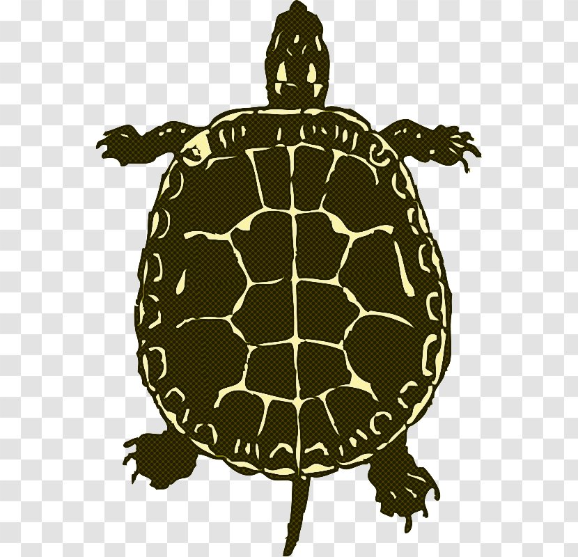 Sea Turtle Background - Silhouette - Box Reptile Transparent PNG
