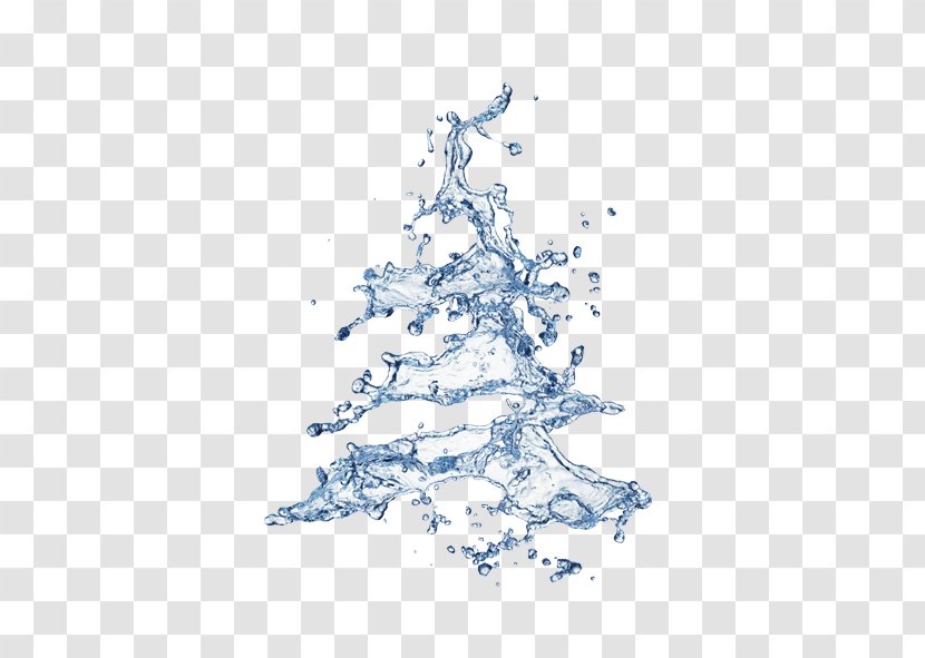 Christmas Tree Water Stock Photography - Spruce - Elemental Transparent PNG