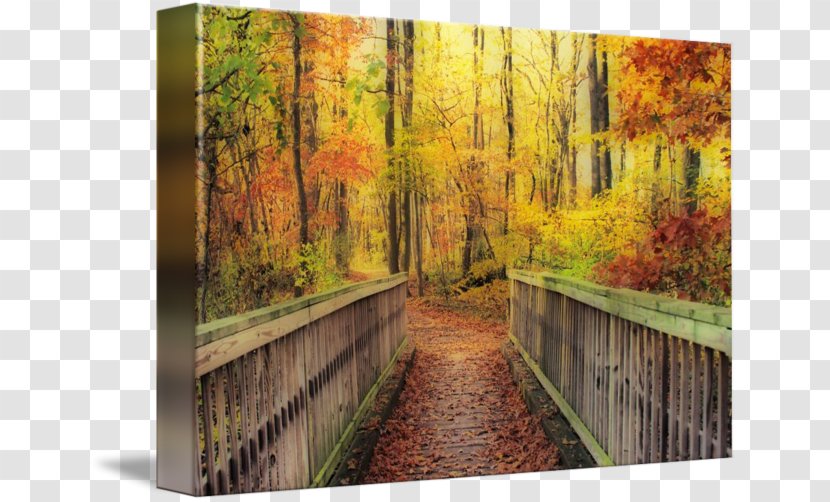 Wood Painting Gallery Wrap Nature Canvas - Wooden Bridge Transparent PNG