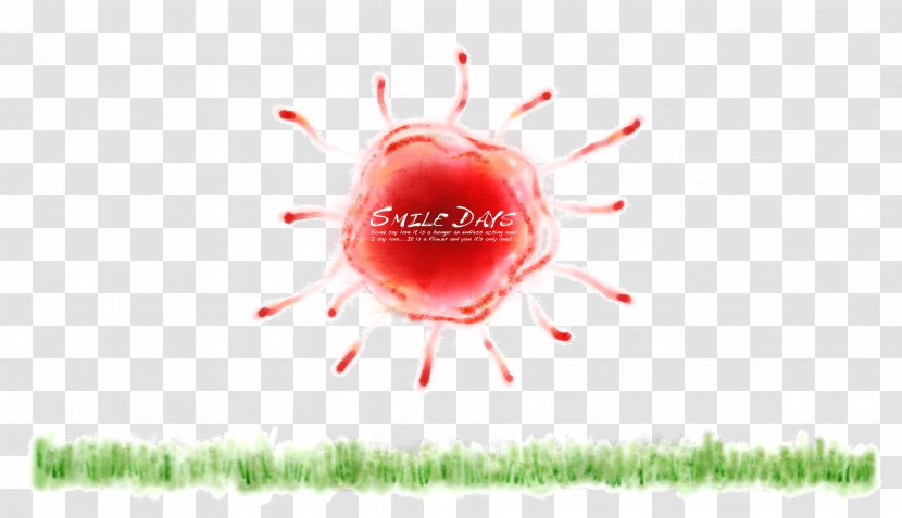 Drawing Croquis - Frame - Red Warm Sun Creative Background Transparent PNG