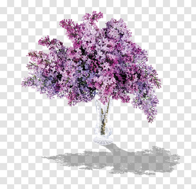 Lilac Flower Purple Clip Art - Lavender Transparent PNG