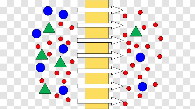 Membrane Technology Ultrafiltration Dead-End-Filtration Reverse Osmosis - Dead End Transparent PNG