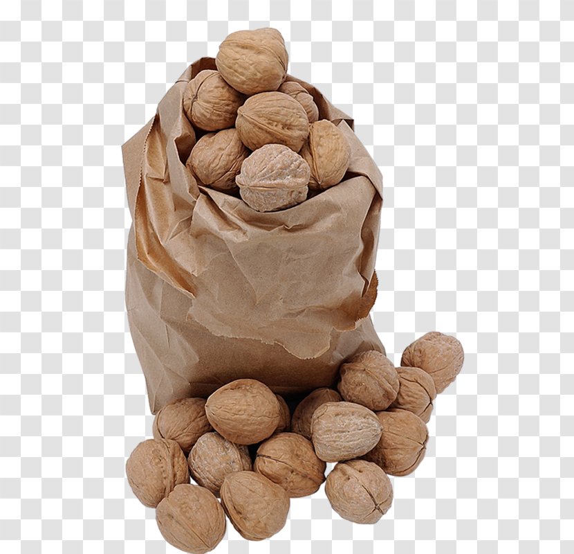 Eastern Black Walnut Pine Nut Acorn - Tree Nuts - A Bag Of Walnuts Transparent PNG