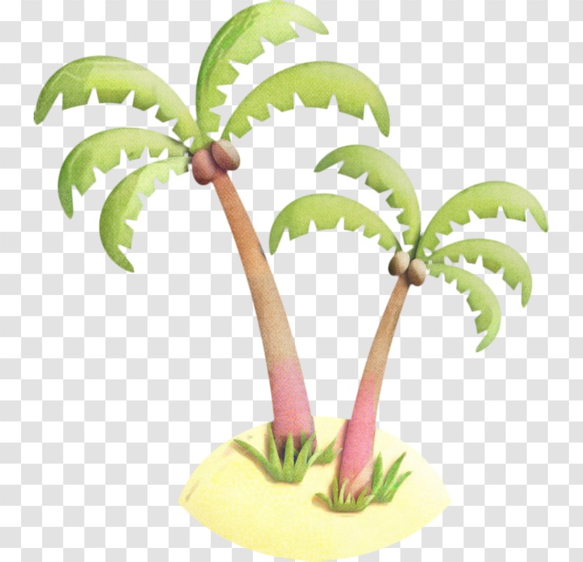 Coconut Tree Drawing - Plant Stem - Flowerpot Transparent PNG