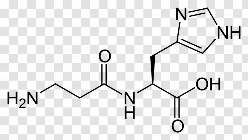 Carnosine Dietary Supplement Structure Histidine Amino Acid - Frame - Watercolor Transparent PNG