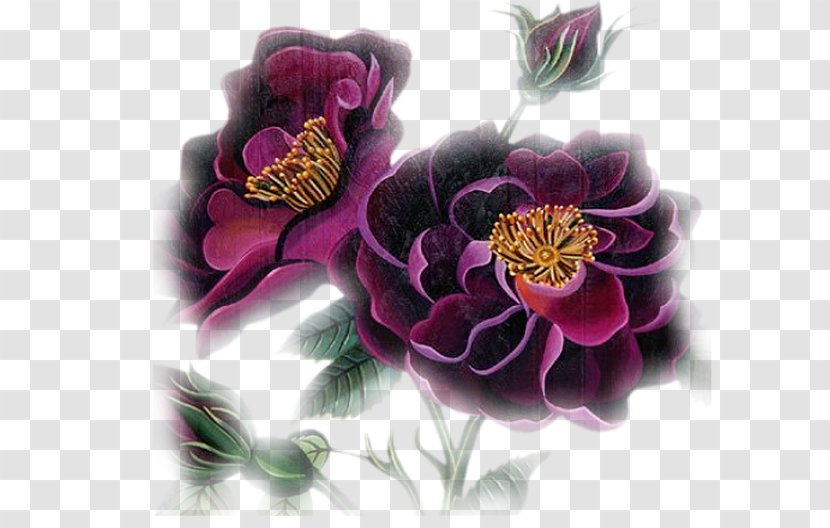 Flower Image Design Adobe Photoshop - Viola Transparent PNG