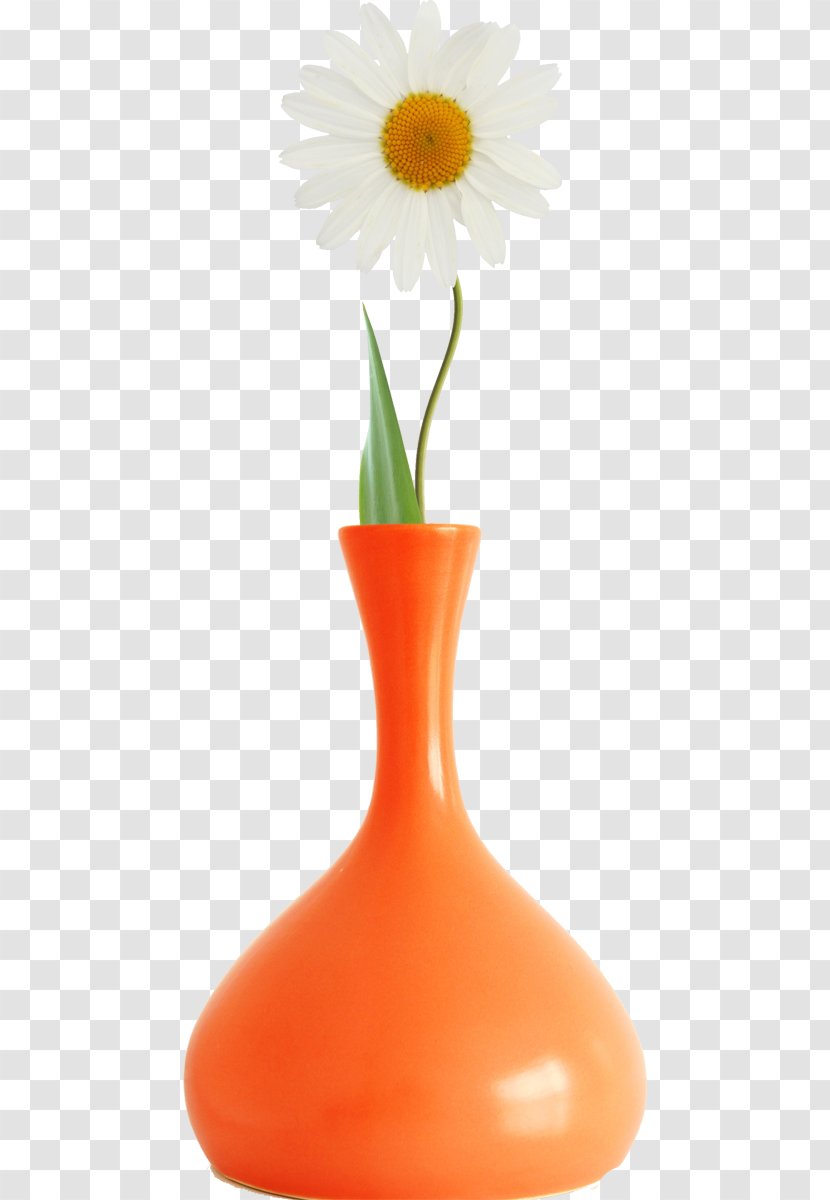 Transvaal Daisy Vase Industrial Design Petal - Gerbera Transparent PNG