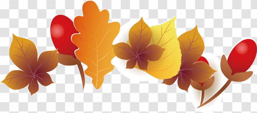 Floral Design Maple Leaf - Architecture - Vector Picture Transparent PNG