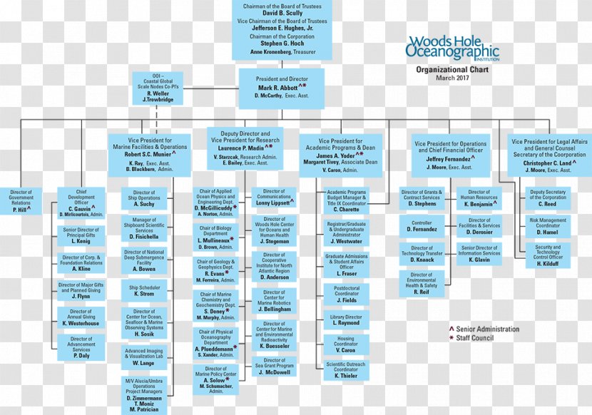 Organizational Chart Structure Business - Diagram Transparent PNG
