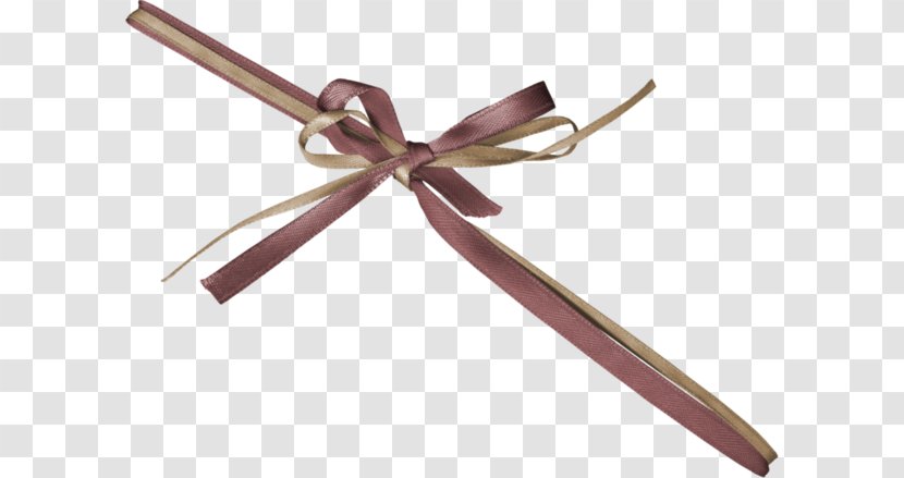 Ribbon Gift - Shoelace Knot Transparent PNG