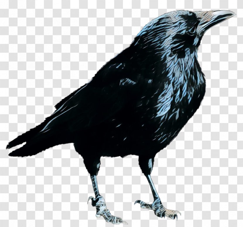Crow Clip Art Common Raven Image - Beak - Perching Bird Transparent PNG