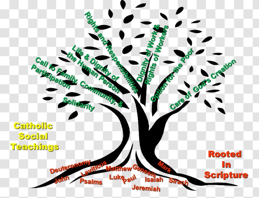 Theology Of Twelvers Principles Islamic Jurisprudence Religion Prayer Fiqh - Organism Transparent PNG