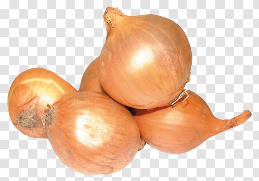 Yellow Onion Shallot Vegetable - Image Resolution Transparent PNG