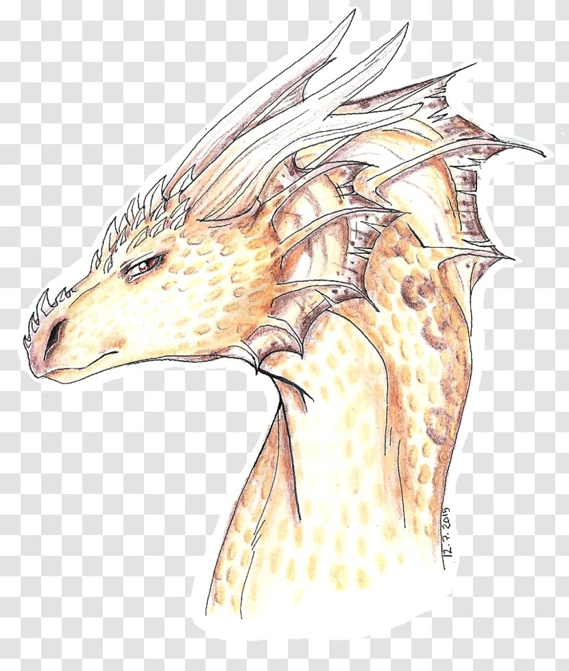 Giraffe Dragon Jaw Sketch Transparent PNG