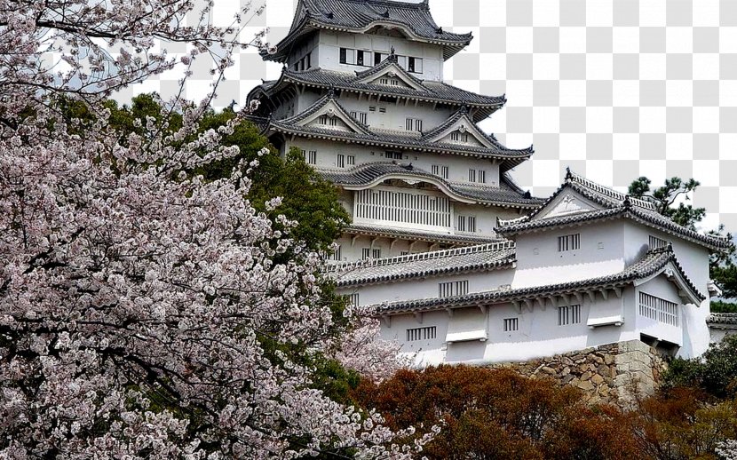 Osaka Castle Cherry Blossom Tourism - Japan - City Transparent PNG