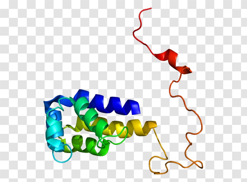 Fas Receptor Tumor Necrosis Factor Superfamily Protein CFLAR - Antigen Transparent PNG