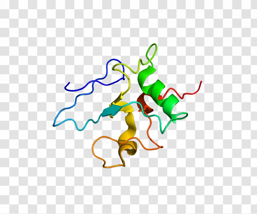 THAP1 PAWR Gene Dystonia Protein - Silhouette - Nucleic Acid Sequence Transparent PNG