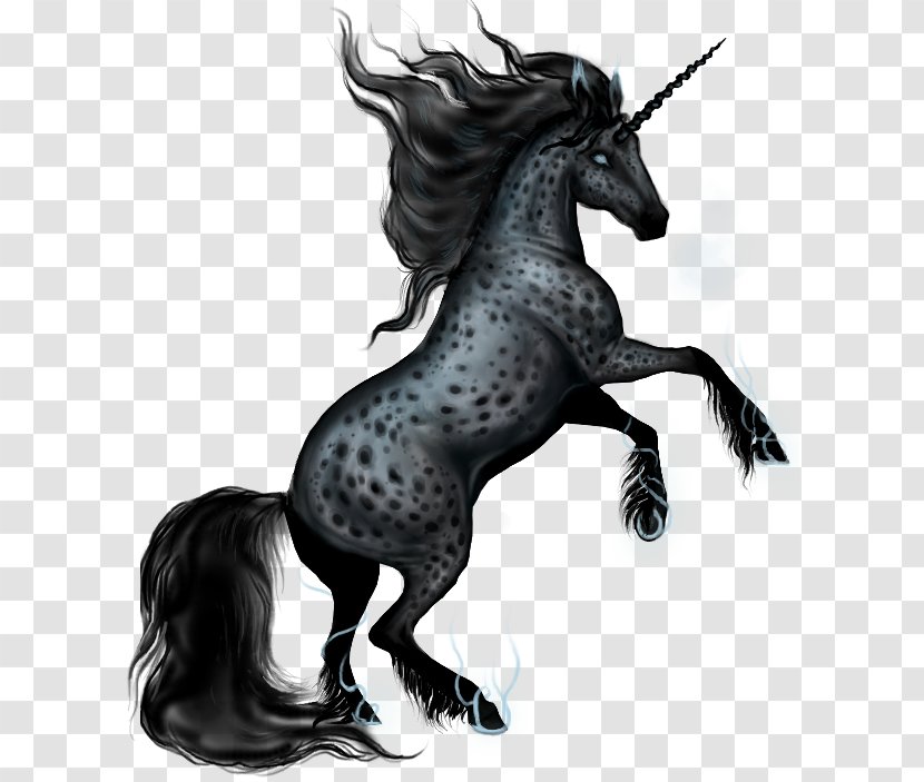 Winged Unicorn Pegasus Pony - Black And White Transparent PNG