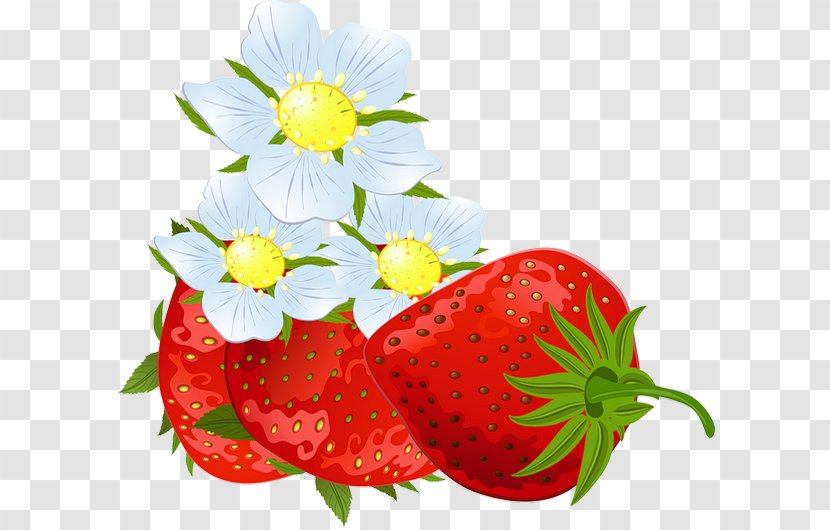 Photography Strawberry Clip Art - Diet Food Transparent PNG